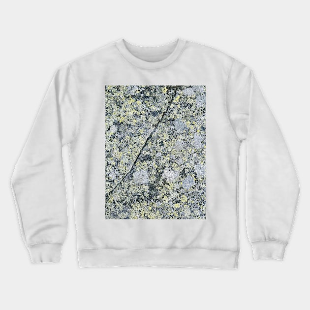 Cracked Stone Crewneck Sweatshirt by Ecotone